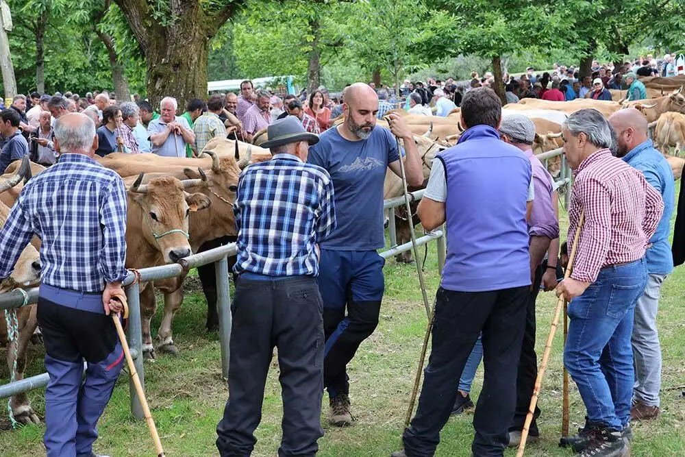 feriona-corao-2025-09