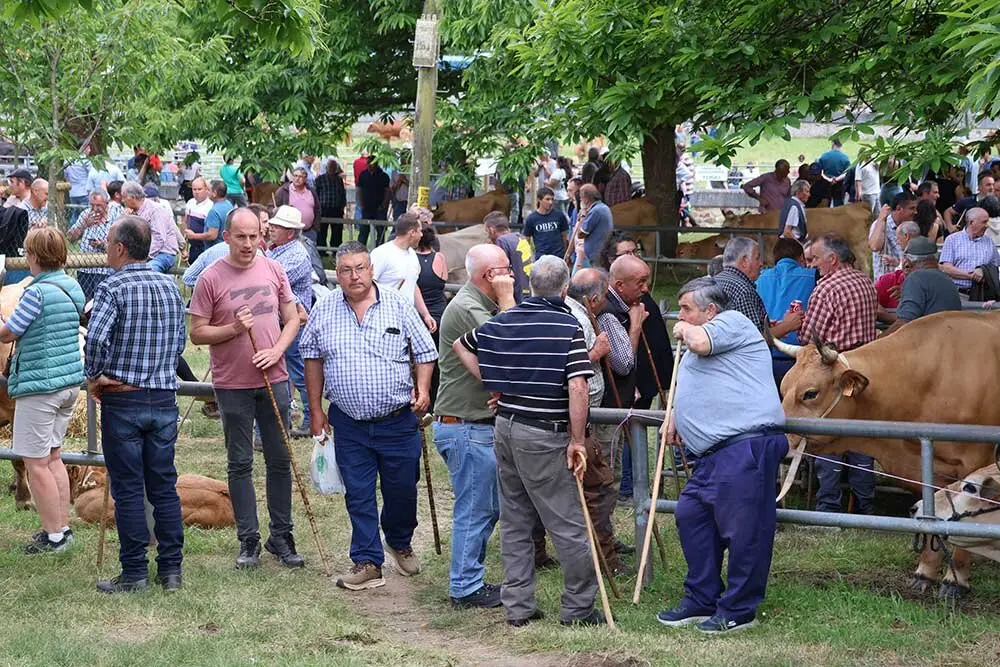 feriona-corao-2025-013