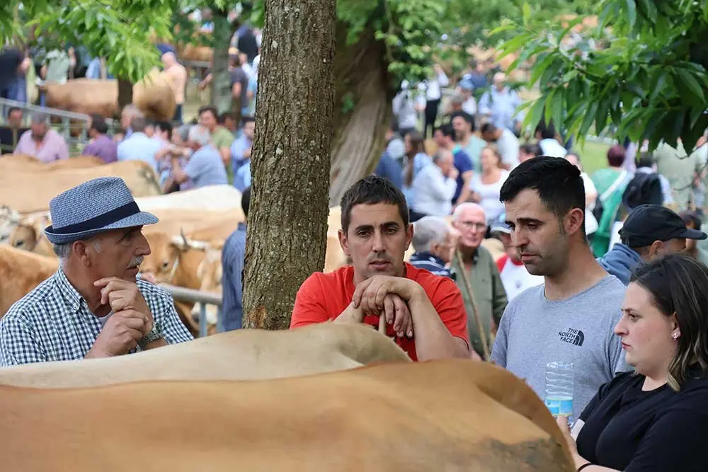 feriona-corao-2025-015