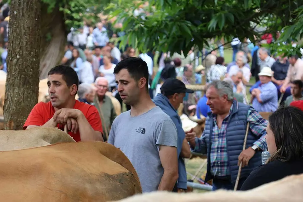 feriona-corao-2025-016