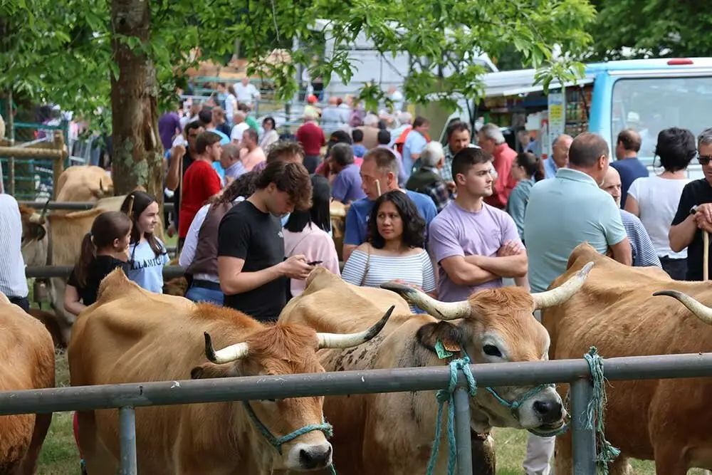 feriona-corao-2025-017