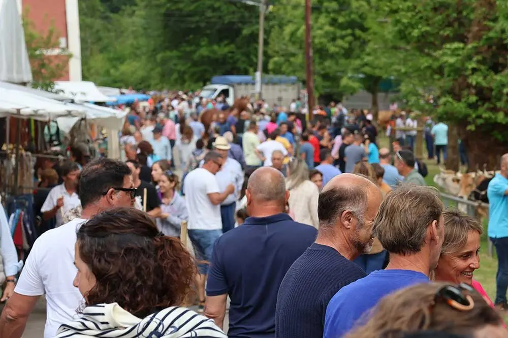 feriona-corao-2025-018