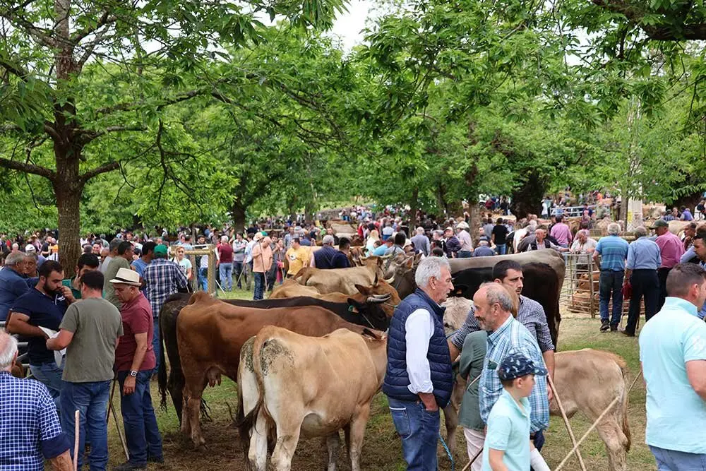 feriona-corao-2025-019