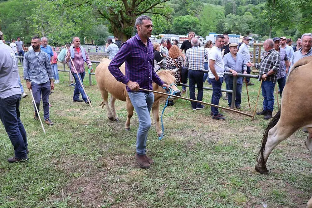 feriona-corao-2025-020