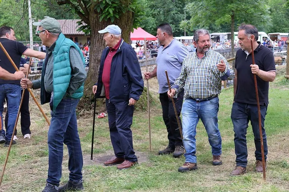 feriona-corao-2025-021