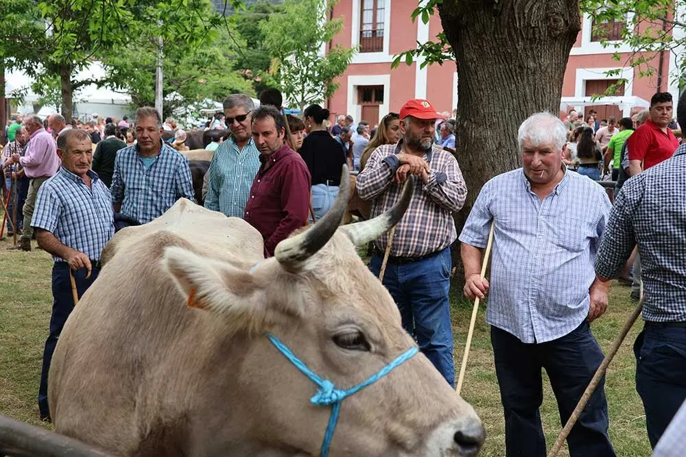 feriona-corao-2025-026