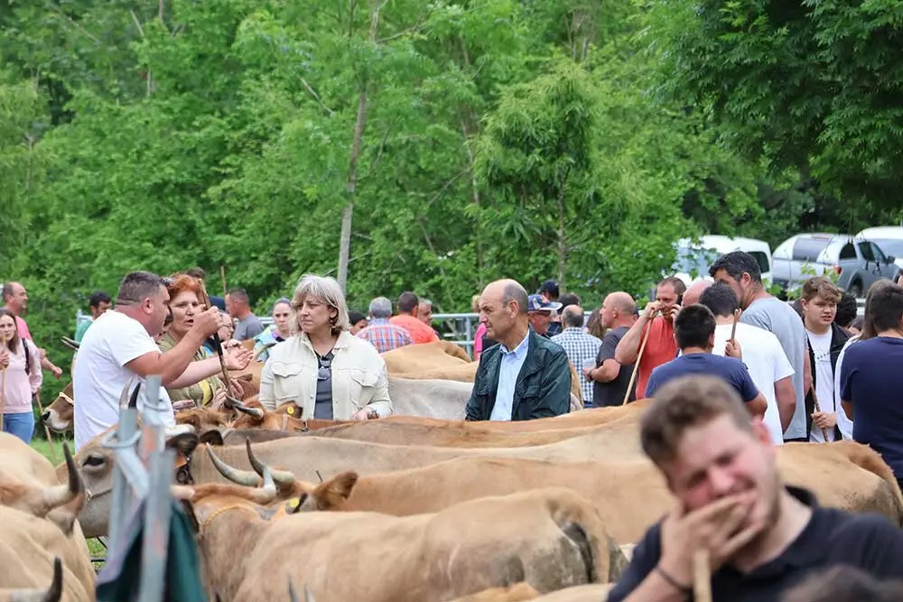 feriona-corao-2025-027