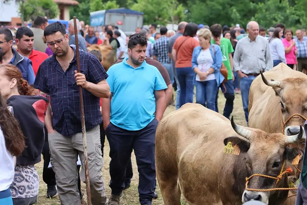 feriona-corao-2025-029