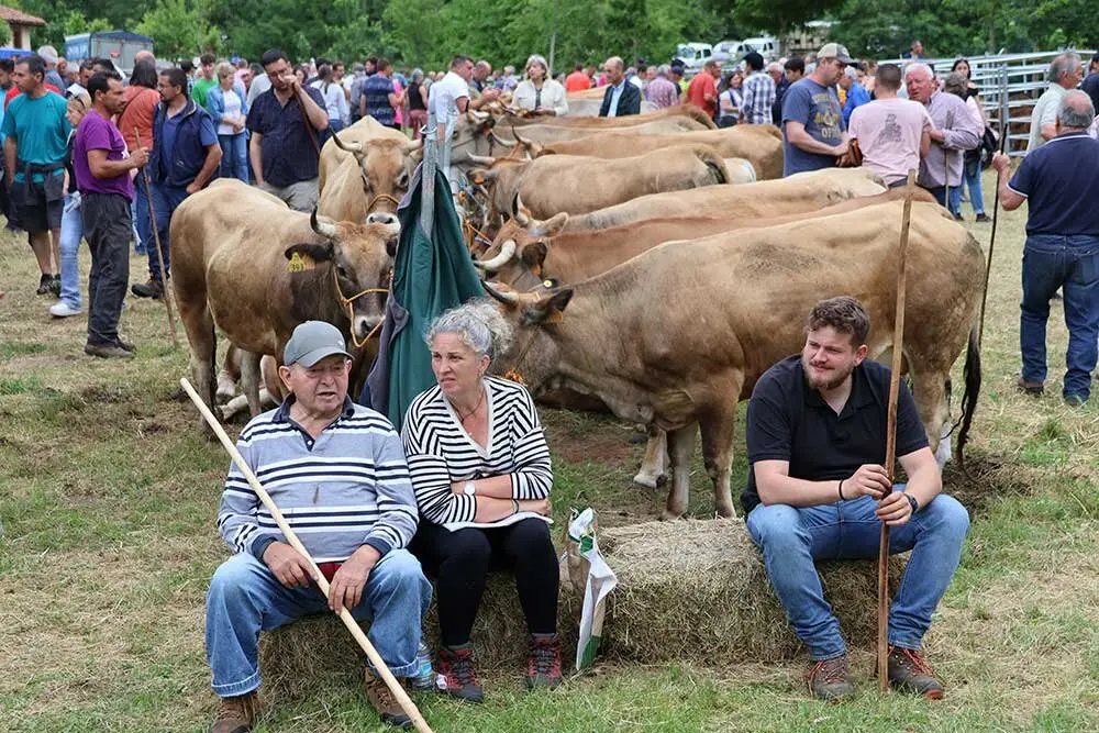 feriona-corao-2025-030