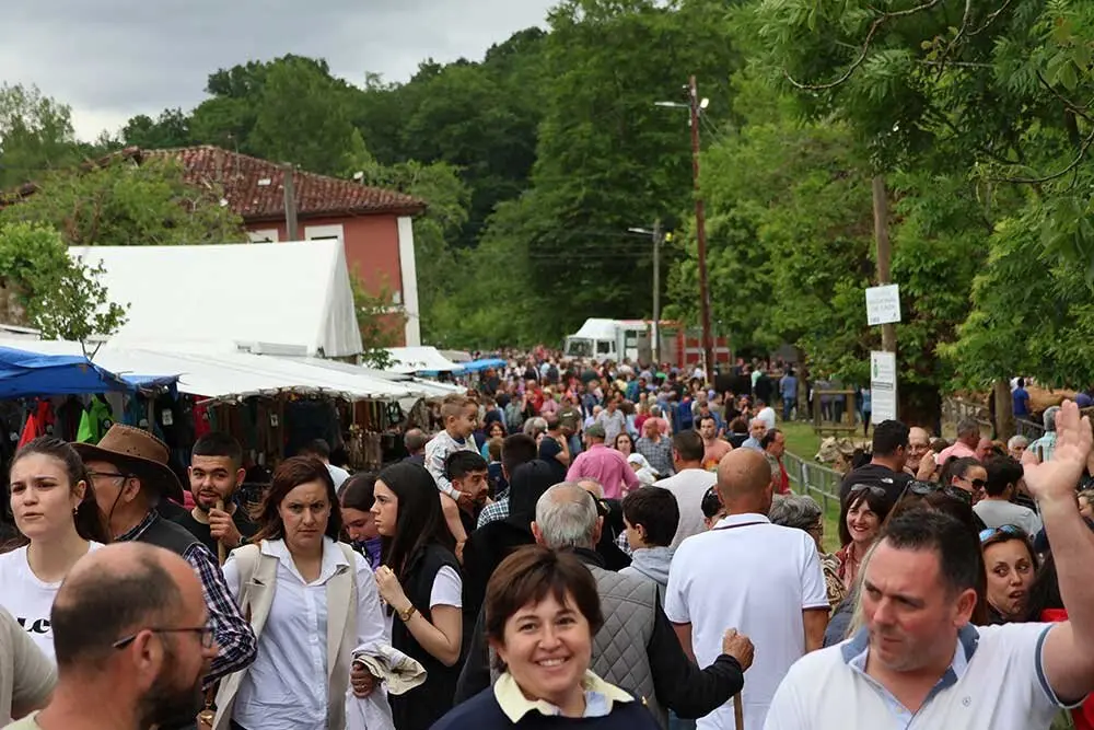 feriona-corao-2025-032