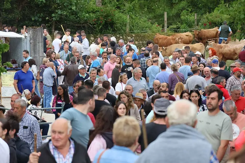 feriona-corao-2025-033