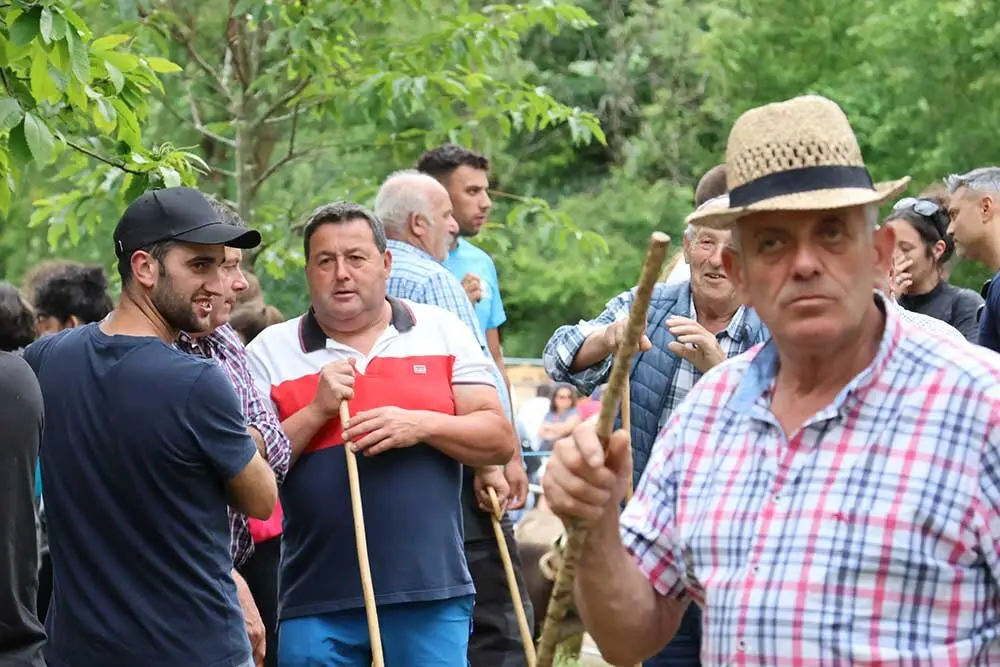 feriona-corao-2025-037