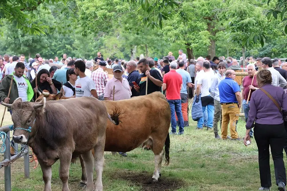 feriona-corao-2025-039