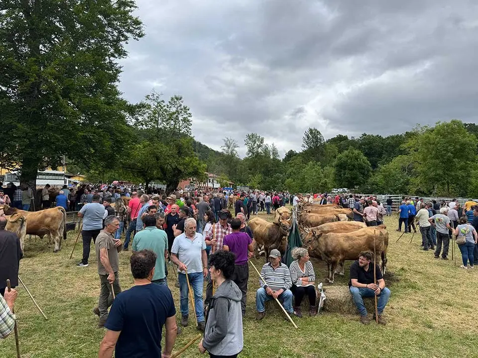 feriona-corao-2025-040