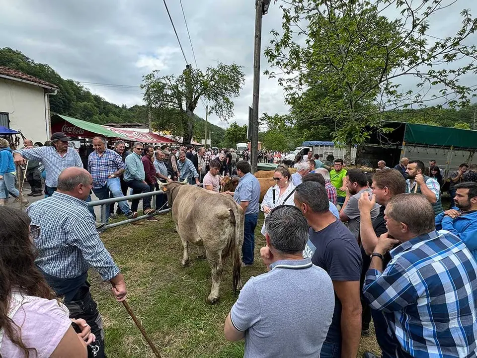 feriona-corao-2025-042