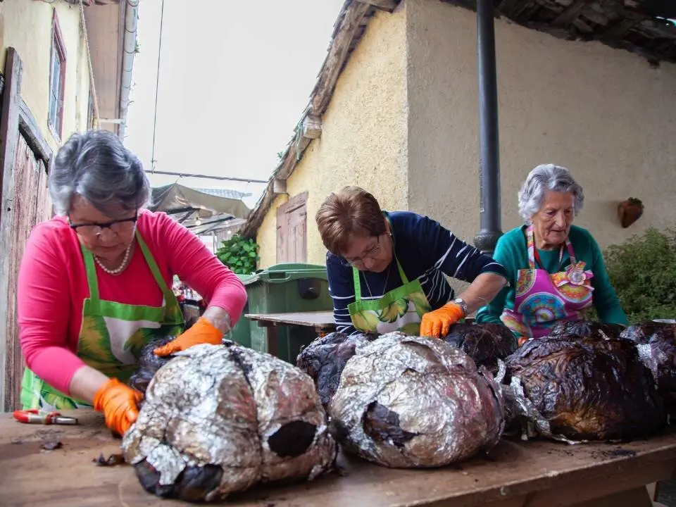 festival-borona-forna-torazu (4)