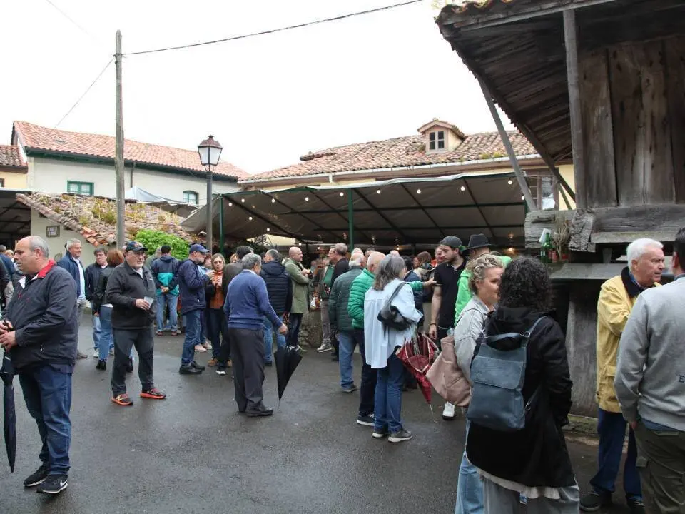 festival-borona-forna-torazu (23)