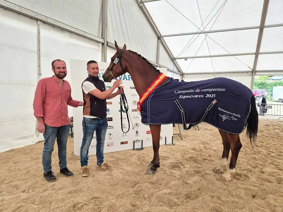 campeon-campeones-adultos-zafiro-yeguada-del-rey