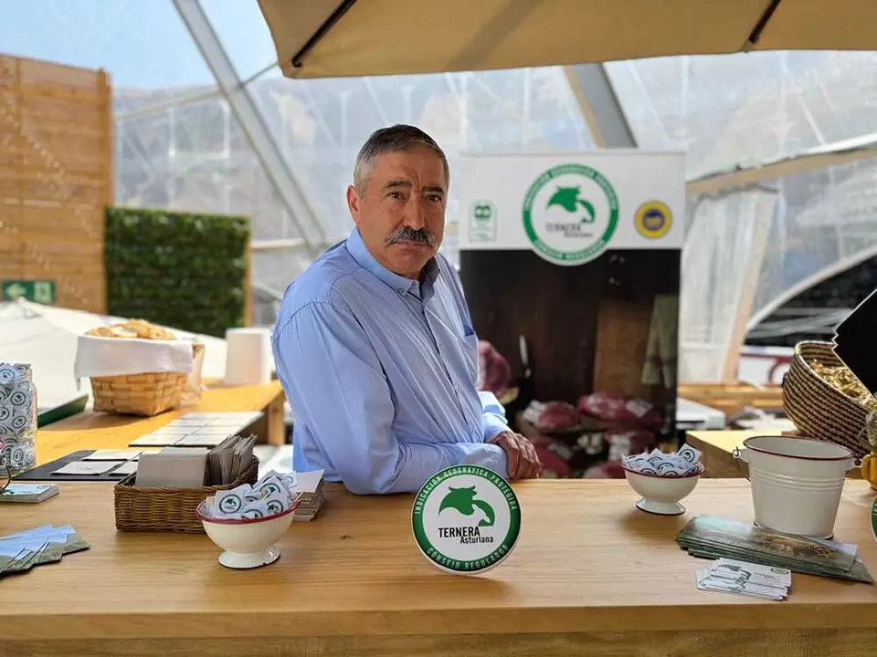 pachon-gestora-ternera-asturiana-igp