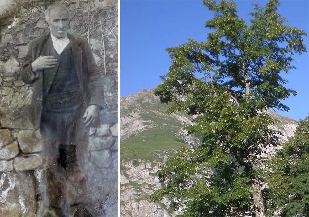 franchon-tila-sajambre