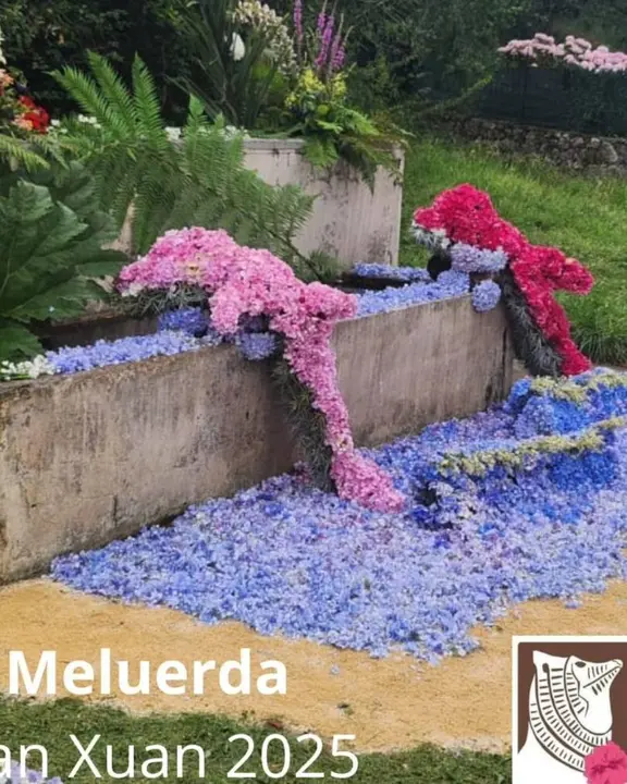 concurso-enrame-fuentes-ribadesella (6)