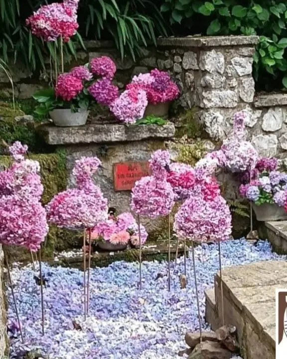 concurso-enrame-fuentes-ribadesella (13)