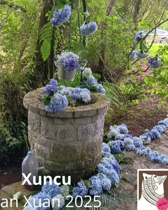 concurso-enrame-fuentes-ribadesella (26)