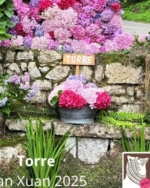 concurso-enrame-fuentes-ribadesella (30)