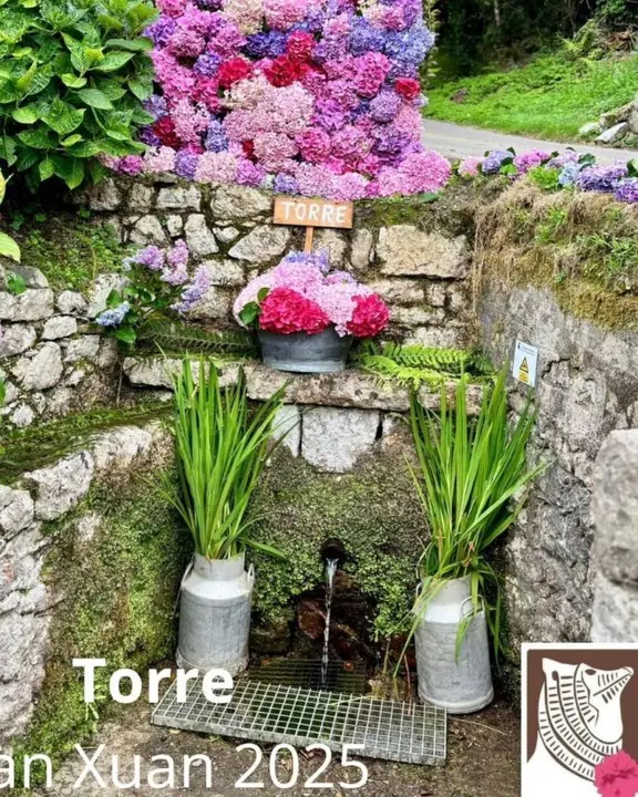 concurso-enrame-fuentes-ribadesella (31)