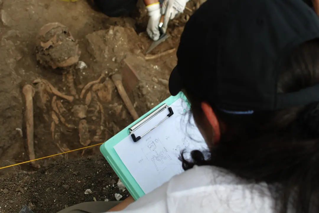 Una de las arque&ntilde;ol&oacute;gas del equipo de Mart&iacute;n, dibujando y acotando uno de sus &uacute;ltimos hallazgos