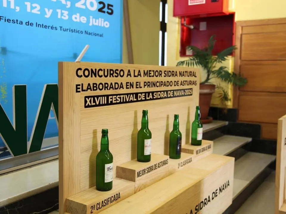 festival-sidra-nava (47)