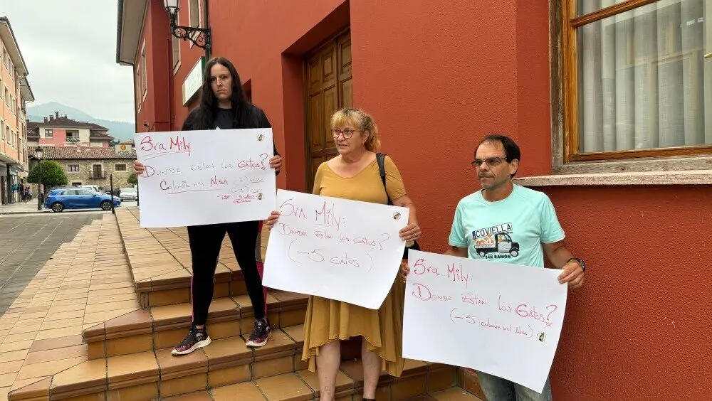 mili-maza-desaparicion-gatos-arriondas