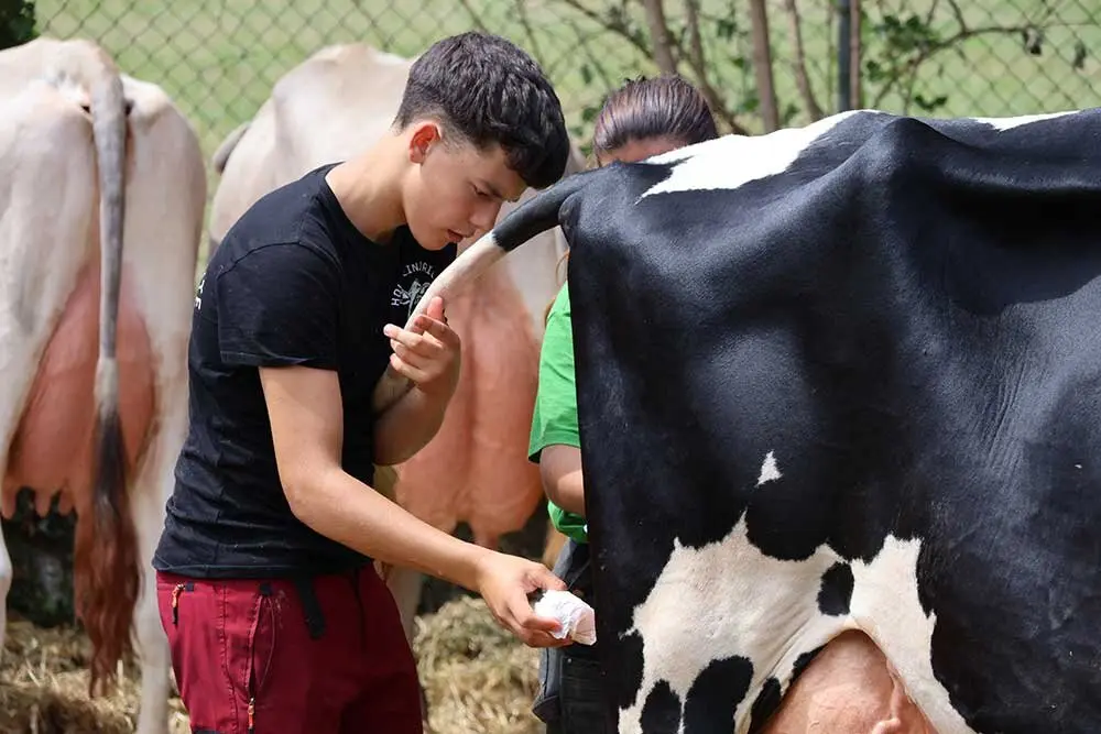 concurso-ganados-oriente-arriondas-2025-01
