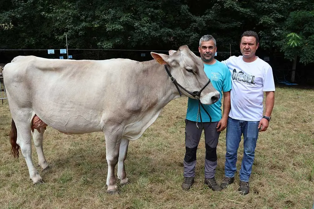 concurso-ganados-oriente-arriondas-2025-06