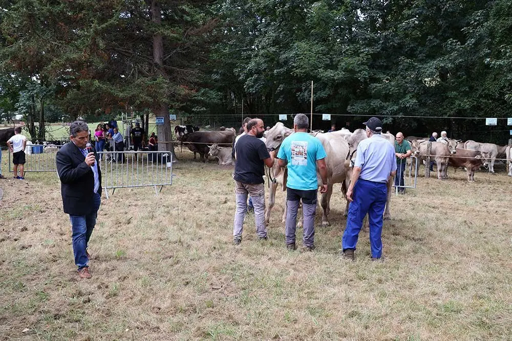 concurso-ganados-oriente-arriondas-2025-08