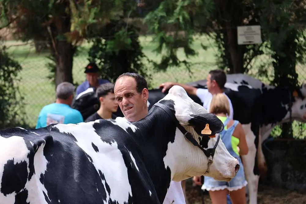 concurso-ganados-oriente-arriondas-2025-016