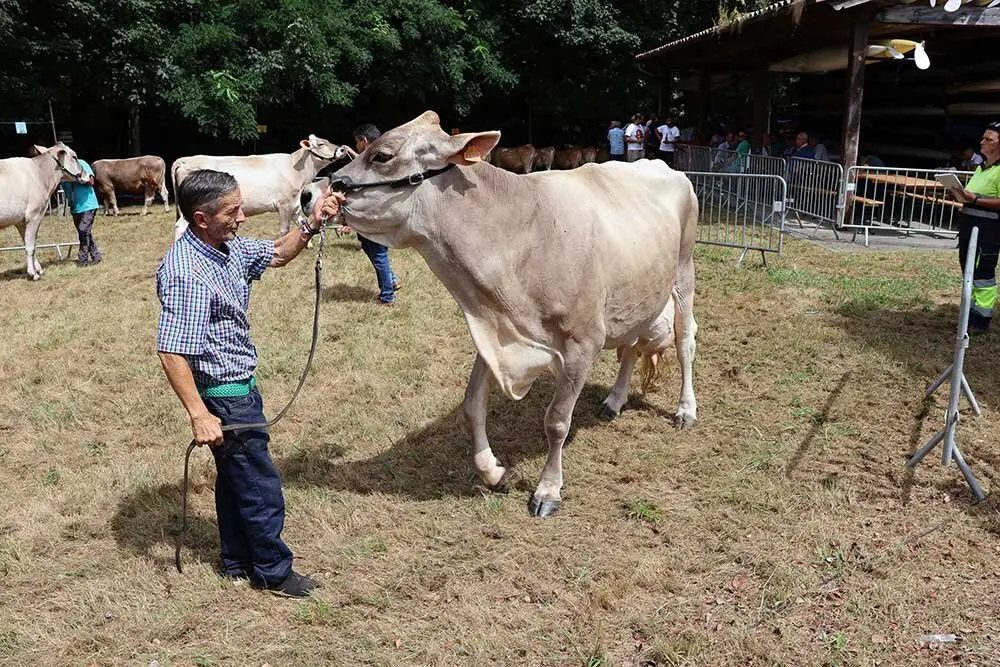 concurso-ganados-oriente-arriondas-2025-023