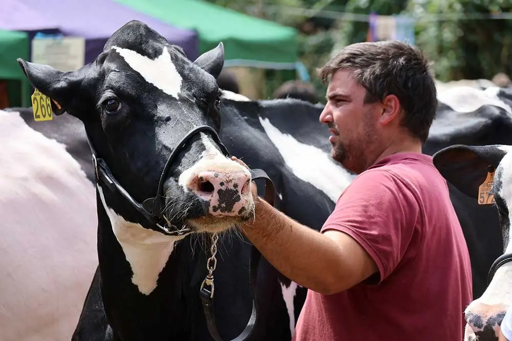 concurso-ganados-oriente-arriondas-2025-022