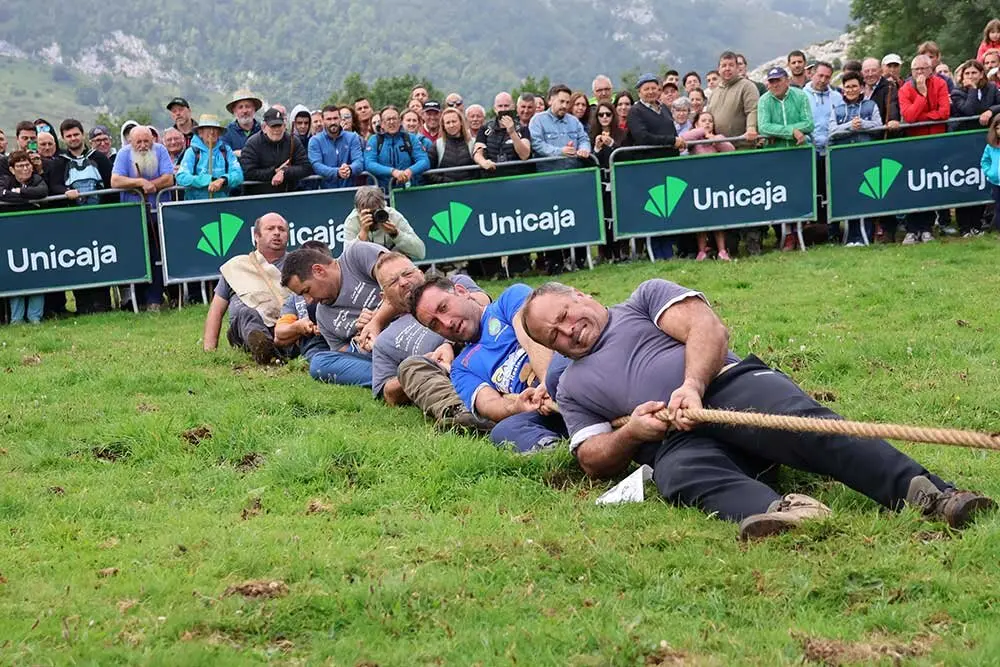 fiesta-pastor-2025-016