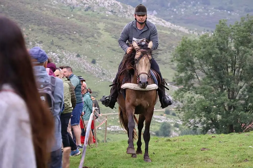 fiesta-pastor-2025-024