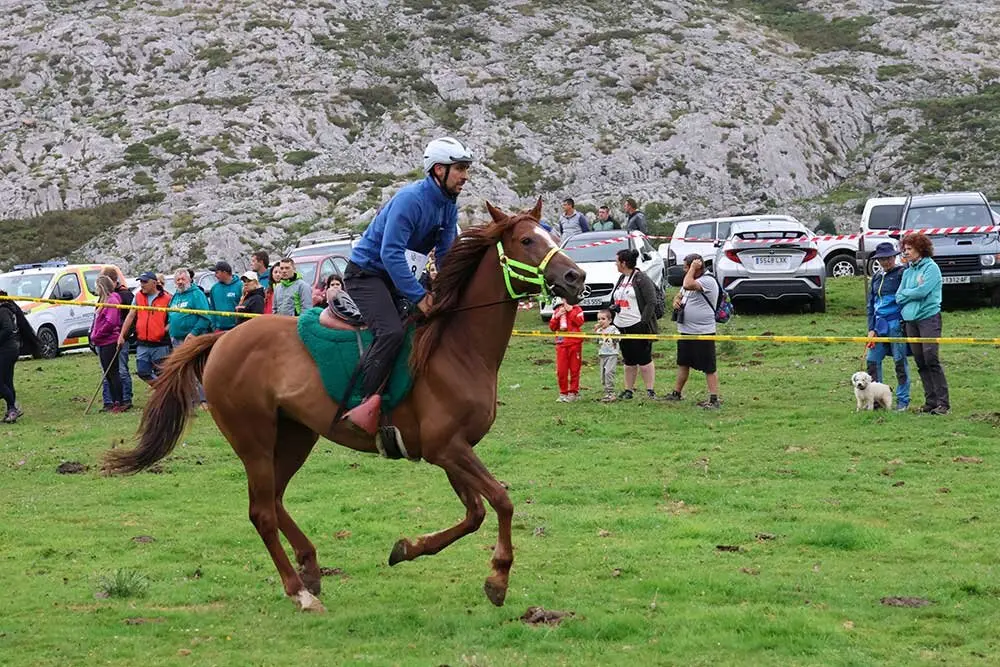 fiesta-pastor-2025-033