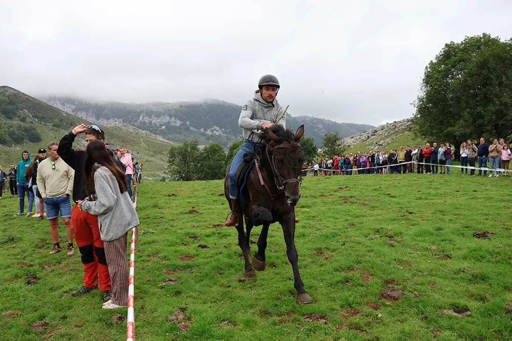 fiesta-pastor-2025-035