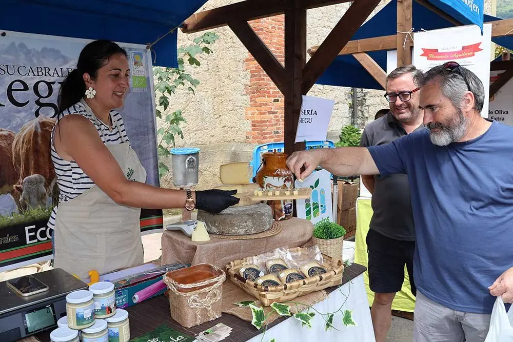 queso-panes-2025-011