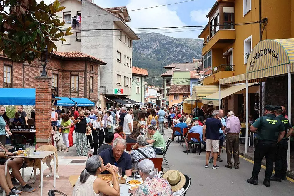 queso-panes-2025-013