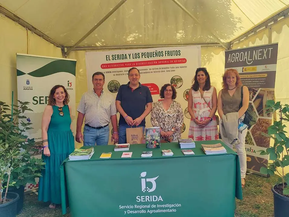 arandano-ceramica-villaviciosa-2025-014