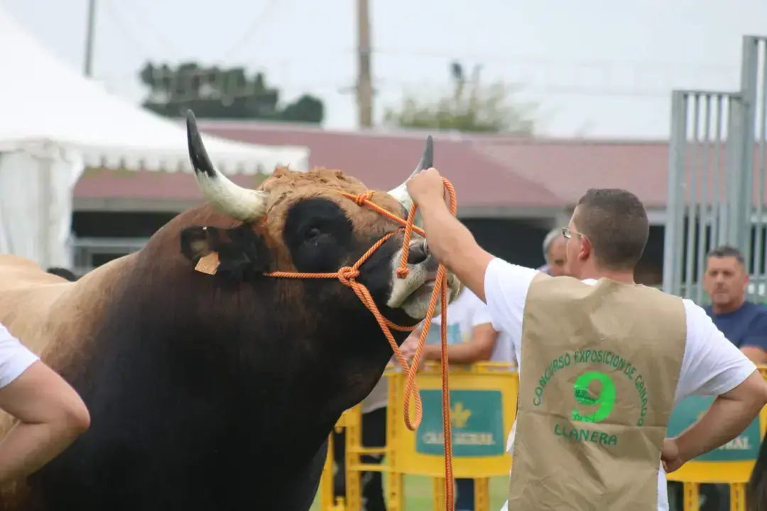 El presidente del PP de Llanera se muestra muy descontento con la organizaci&oacute;n de este importante evento