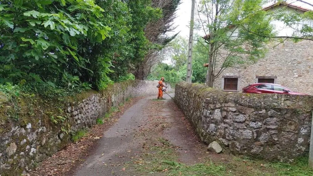 desbroce-limpieza-pueblos-llanes