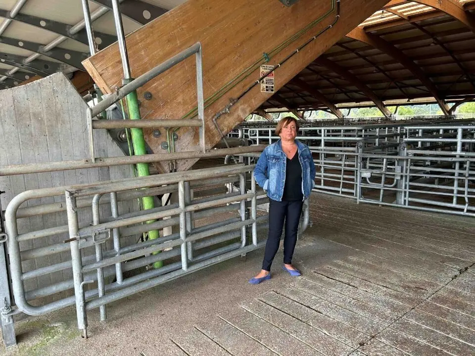 La concejala de Festejos, Mercados y Bienestar Animal, Ana Nosti