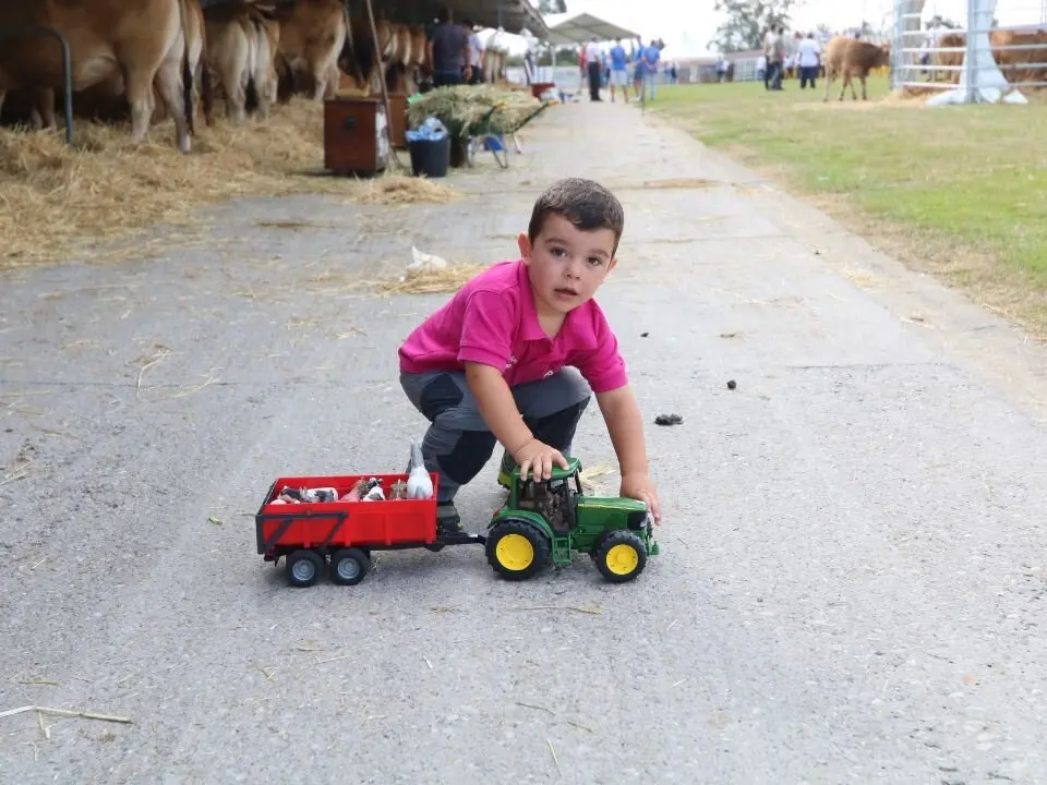 FAPEA_CONCURSO-GANADO (3)