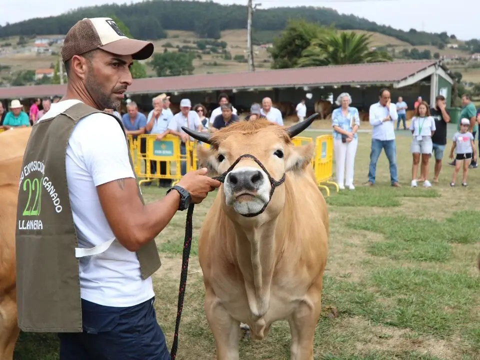 FAPEA_CONCURSO-GANADO (23)